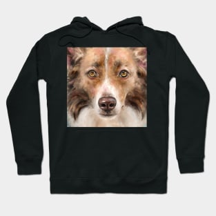 Close up Painting of a Gorgeous Brown and White Border Collie Hoodie